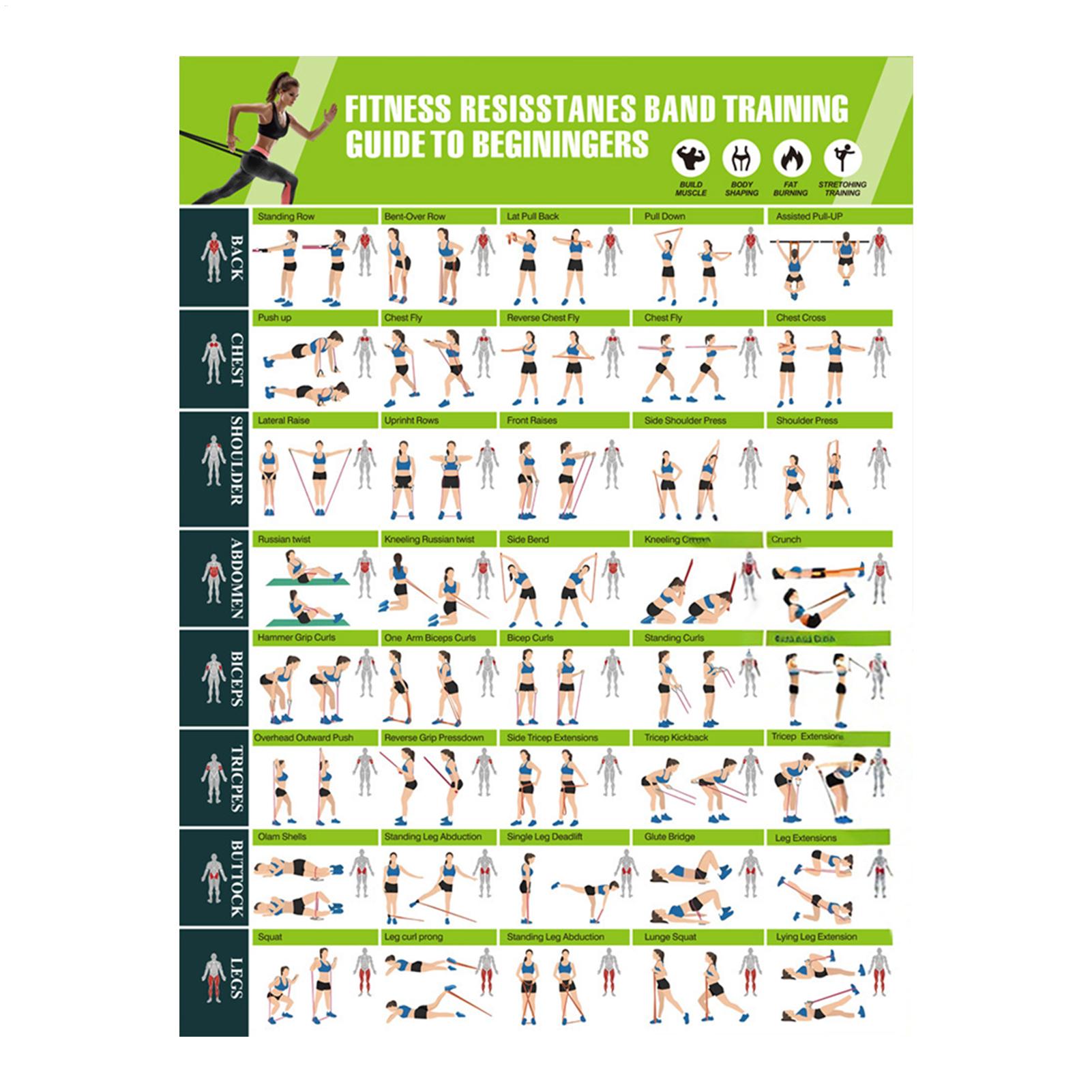 Wykres Ćwiczeń Fitness Wykres  – Yoga Fitness Health recenzja i cena